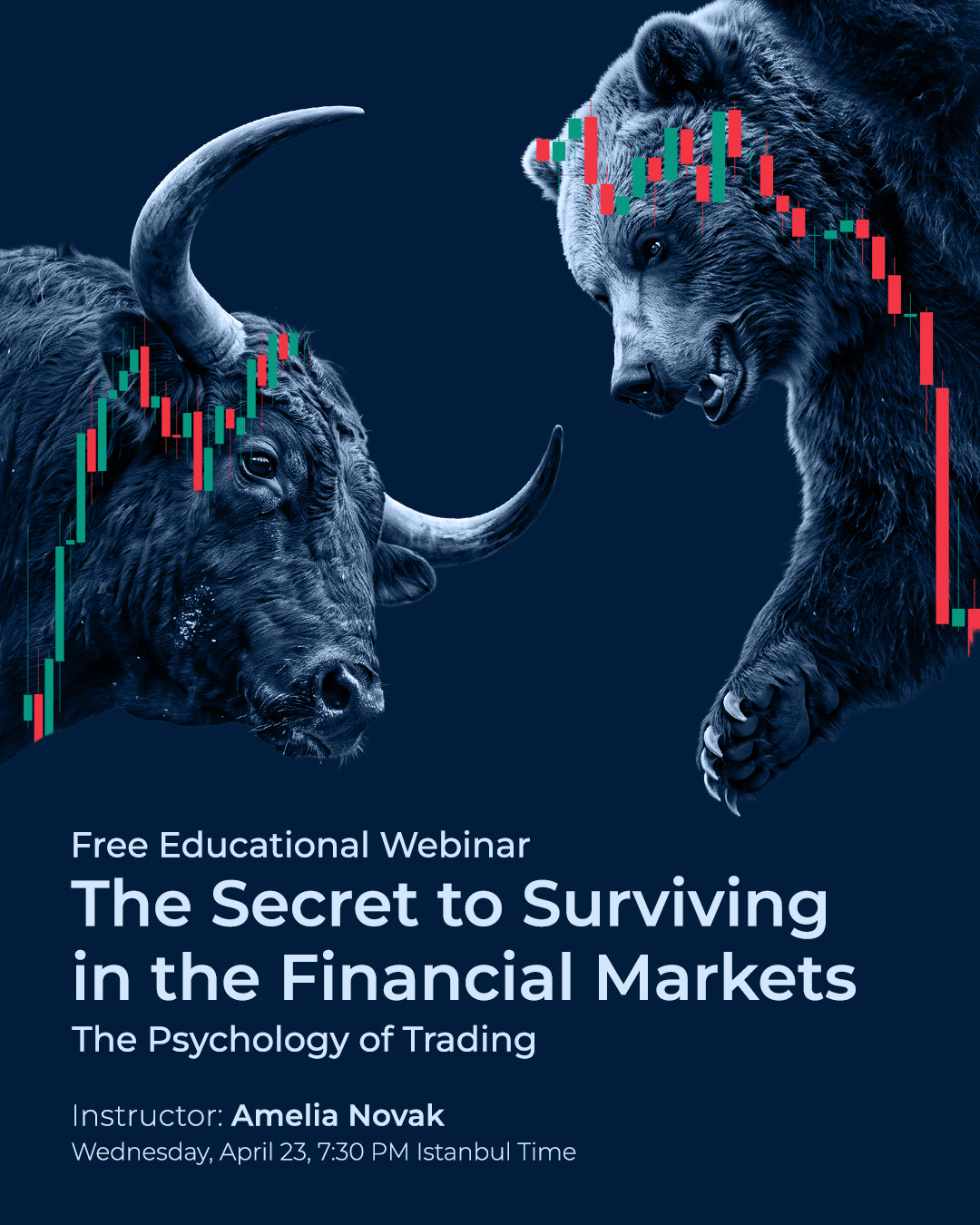Financial Markets Webinar